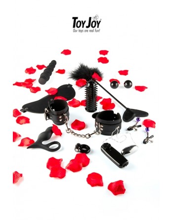 Love Box - Lovetoy starter kit