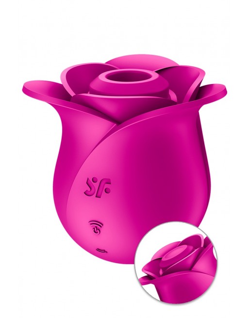 Stimulateur clitoridien Satisfyer Pro 2 Modern Blossom