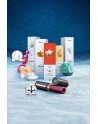 Calendrier de l'Avent Satisfyer Premium 2025