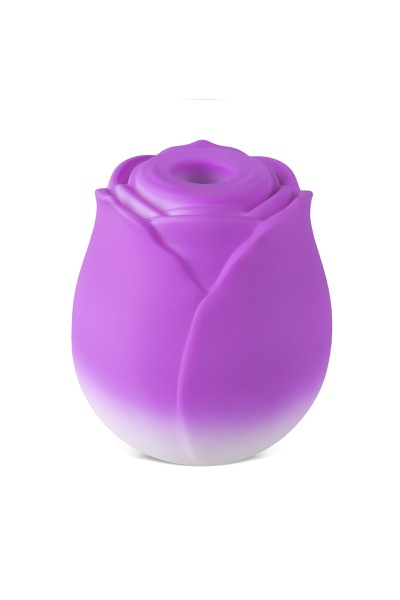 Stimulateur à aspiration et vibrations Blossom Pulse - DIK