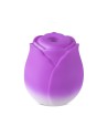 Stimulateur à aspiration et vibrations Blossom Pulse - DIK